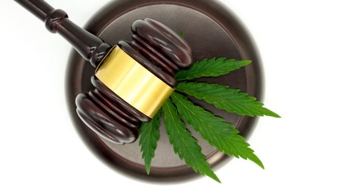 Charged With Drug-Related Offences